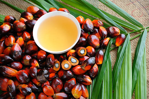 Malaysia’s Palm Oil Stocks Decline to 1.71 Million Tonnes in March 2024